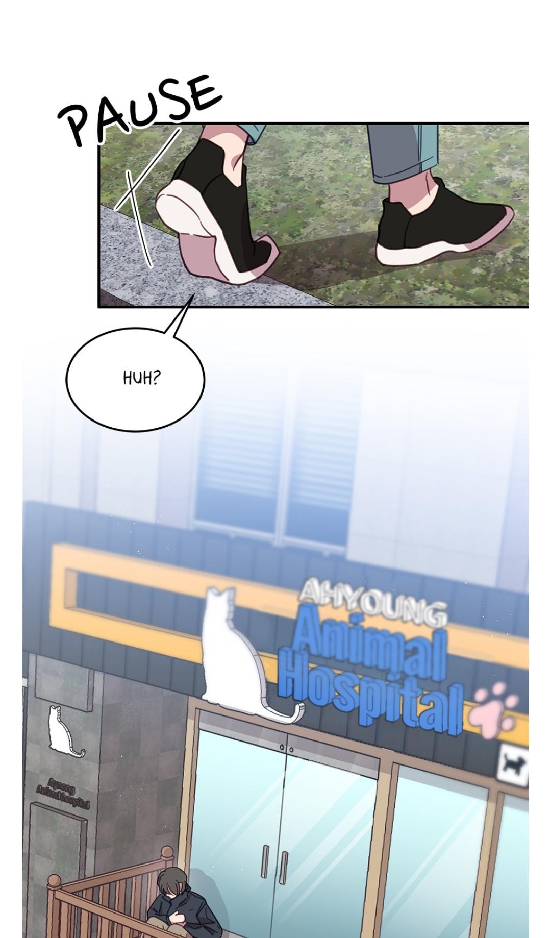 An animal hospital in the border area Chapter 8 51